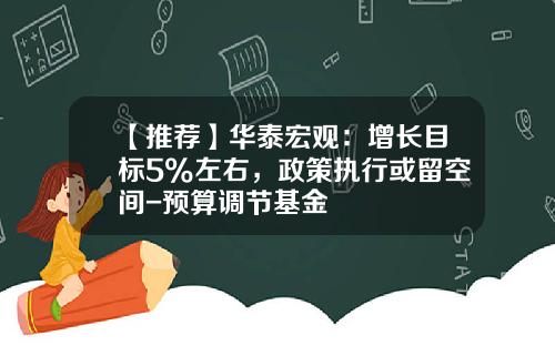 【推荐】华泰宏观：增长目标5%左右，政策执行或留空间-预算调节基金