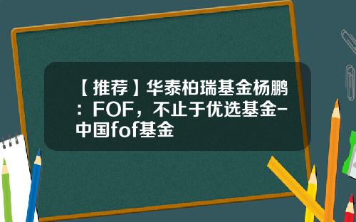 【推荐】华泰柏瑞基金杨鹏：FOF，不止于优选基金-中国fof基金