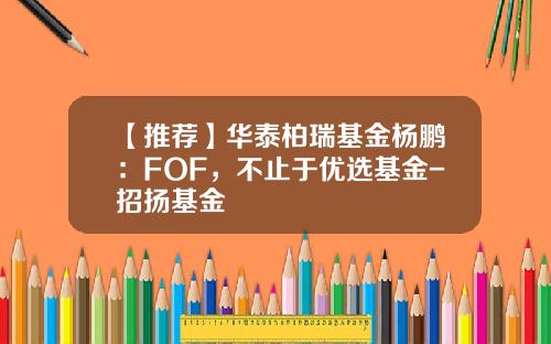 【推荐】华泰柏瑞基金杨鹏：FOF，不止于优选基金-招扬基金