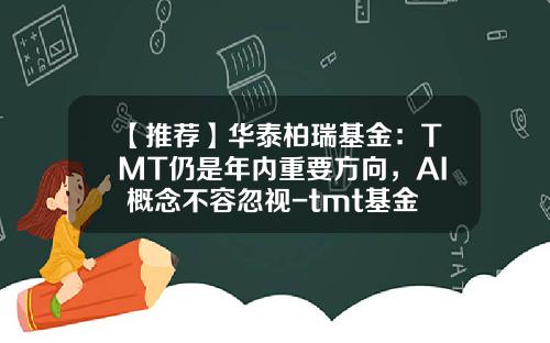 【推荐】华泰柏瑞基金：TMT仍是年内重要方向，AI+概念不容忽视-tmt基金