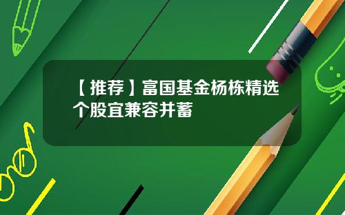 【推荐】富国基金杨栋精选个股宜兼容并蓄