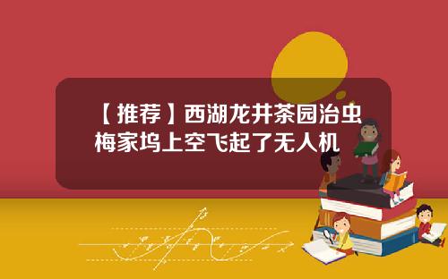 【推荐】西湖龙井茶园治虫梅家坞上空飞起了无人机