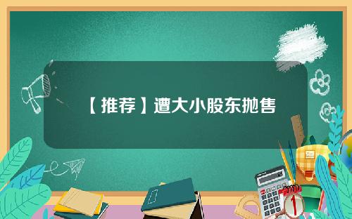 【推荐】遭大小股东抛售