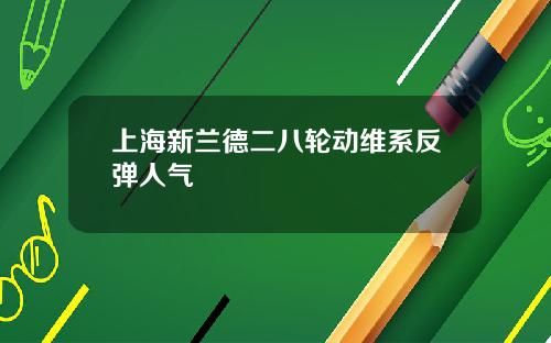 上海新兰德二八轮动维系反弹人气