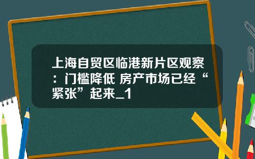 上海自贸区临港新片区观察：门槛降低 房产市场已经“紧张”起来_1