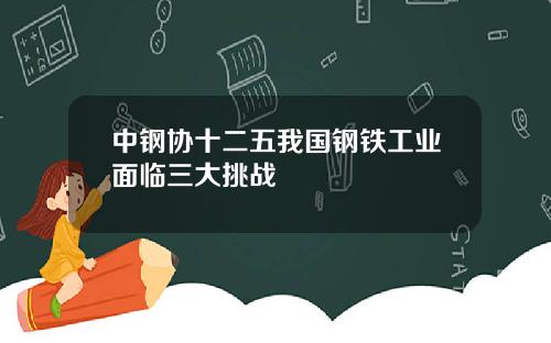 中钢协十二五我国钢铁工业面临三大挑战