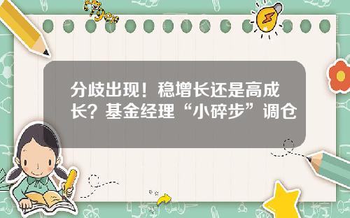 分歧出现!稳增长还是高成长?基金经理“小碎步”调仓