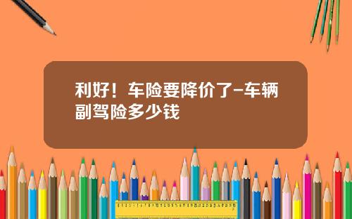 利好！车险要降价了-车辆副驾险多少钱