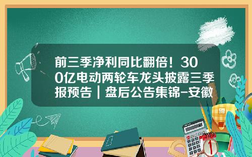 前三季净利同比翻倍！300亿电动两轮车龙头披露三季报预告｜盘后公告集锦-安徽省什伯互联科技有限公司