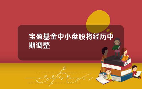 宝盈基金中小盘股将经历中期调整