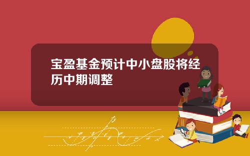 宝盈基金预计中小盘股将经历中期调整