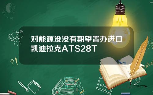 对能源没没有期望置办进口凯迪拉克ATS28T