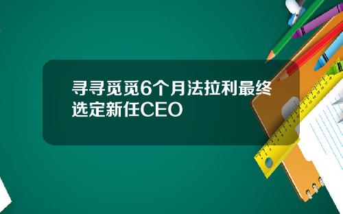 寻寻觅觅6个月法拉利最终选定新任CEO