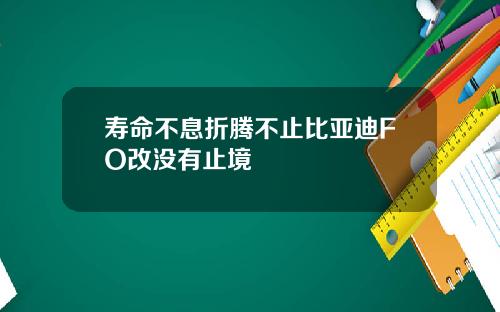 寿命不息折腾不止比亚迪FO改没有止境