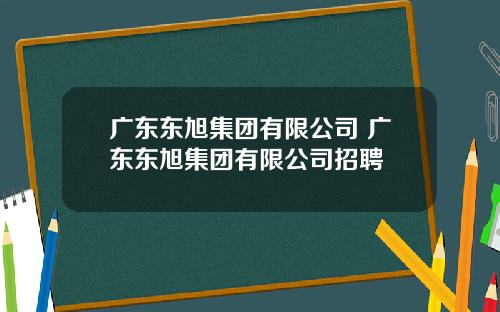 广东东旭集团有限公司 广东东旭集团有限公司招聘