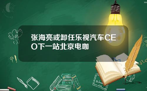 张海亮或卸任乐视汽车CEO下一站北京电咖