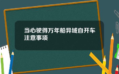 当心驶得万年船异域自开车注意事项