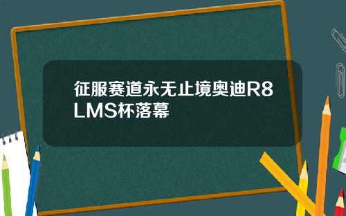 征服赛道永无止境奥迪R8LMS杯落幕