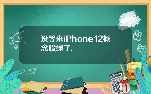 没等来iPhone12概念股绿了.