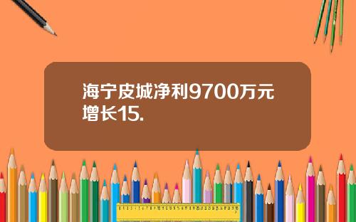海宁皮城净利9700万元增长15.