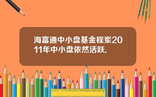 海富通中小盘基金程岽2011年中小盘依然活跃.