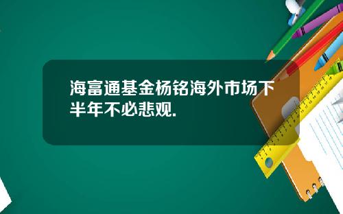 海富通基金杨铭海外市场下半年不必悲观.