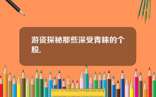 游资探秘那些深受青睐的个股.