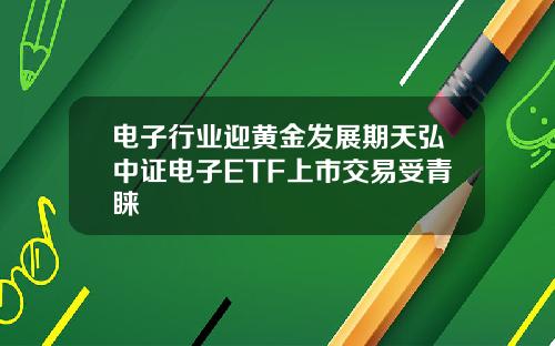 电子行业迎黄金发展期天弘中证电子ETF上市交易受青睐