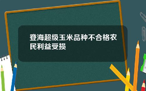 登海超级玉米品种不合格农民利益受损