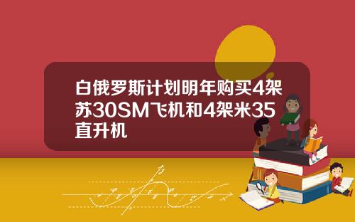 白俄罗斯计划明年购买4架苏30SM飞机和4架米35直升机