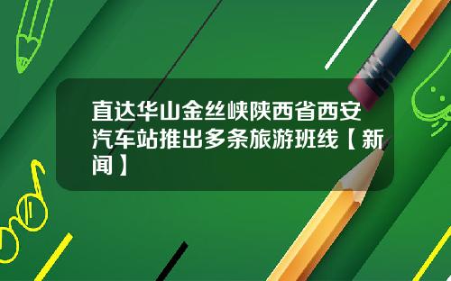 直达华山金丝峡陕西省西安汽车站推出多条旅游班线【新闻】