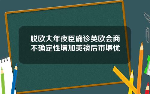 脱欧大年夜臣确诊英欧会商不确定性增加英镑后市堪忧
