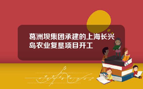 葛洲坝集团承建的上海长兴岛农业复垦项目开工