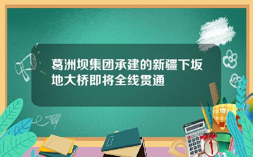 葛洲坝集团承建的新疆下坂地大桥即将全线贯通