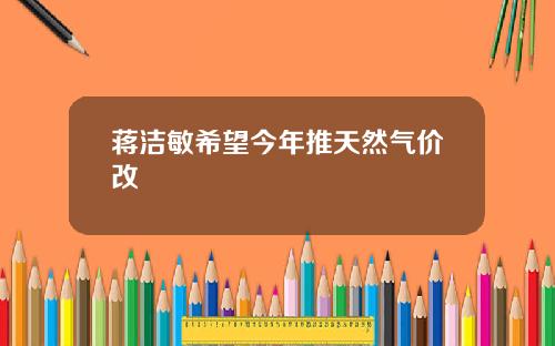蒋洁敏希望今年推天然气价改