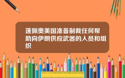 蓬佩奥美国准备制裁任何帮助向伊朗供应武器的人员和组织