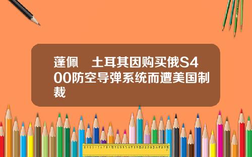蓬佩奧土耳其因购买俄S400防空导弹系统而遭美国制裁