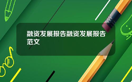 融资发展报告融资发展报告范文