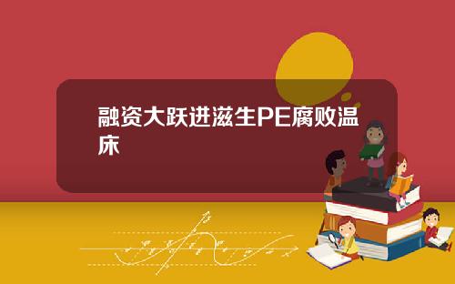 融资大跃进滋生PE腐败温床