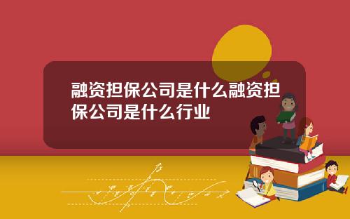 融资担保公司是什么融资担保公司是什么行业