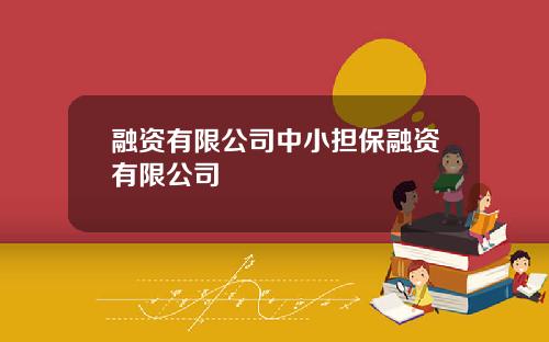 融资有限公司中小担保融资有限公司