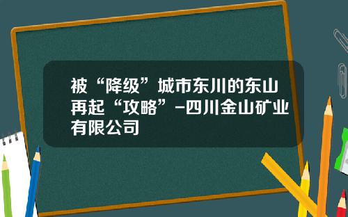 被“降级”城市东川的东山再起“攻略”-四川金山矿业有限公司