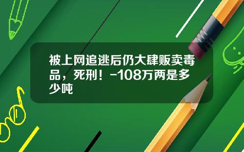 被上网追逃后仍大肆贩卖毒品，死刑！-108万两是多少吨