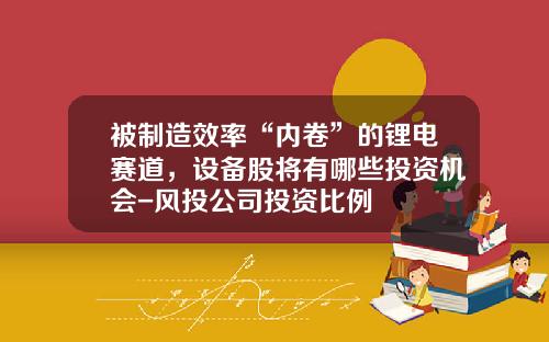 被制造效率“内卷”的锂电赛道，设备股将有哪些投资机会-风投公司投资比例