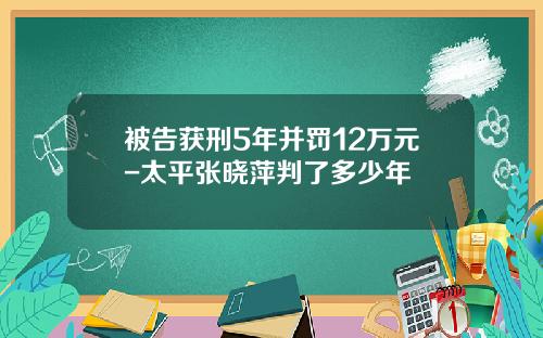 被告获刑5年并罚12万元-太平张晓萍判了多少年