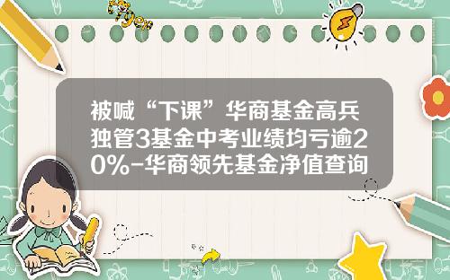被喊“下课”华商基金高兵独管3基金中考业绩均亏逾20%-华商领先基金净值查询