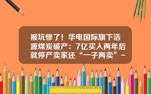 被坑惨了！华电国际旗下浩源煤炭破产：7亿买入两年后就停产卖家还“一子两卖”-华电国际山东分公司2013校园招聘