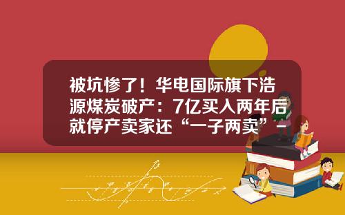 被坑惨了！华电国际旗下浩源煤炭破产：7亿买入两年后就停产卖家还“一子两卖”-2013煤炭行业上市公司