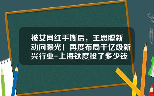被女网红手撕后，王思聪新动向曝光！再度布局千亿级新兴行业-上海钛度投了多少钱