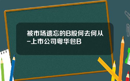 被市场遗忘的B股何去何从-上市公司粤华包B